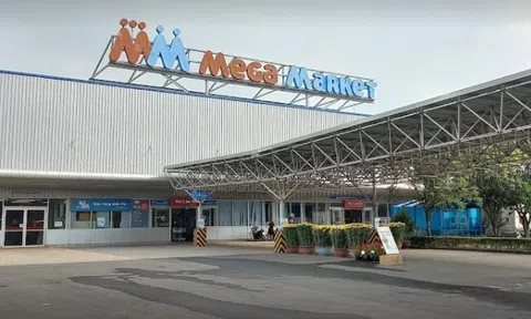 Vi phạm môi trường, MM Mega Market Việt Nam bị xử phạt nặng.