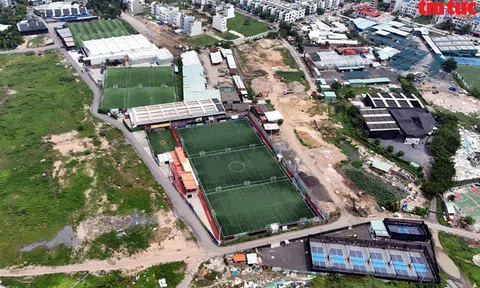 TP Hồ Chí Minh: Sân thể thao tự phát ‘mọc như nấm sau mưa’ trên đất công