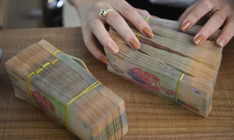 Công ty LD Toko bị cưỡng chế ngừng sử dụng hóa đơn