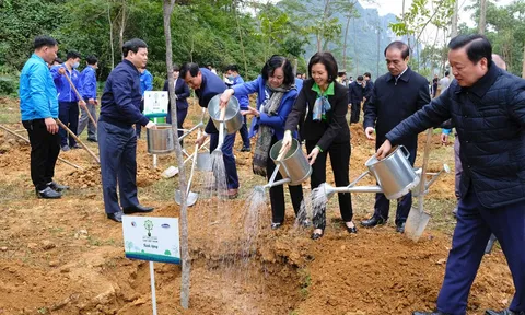 Vinamilk hoàn thành mục tiêu trồng hơn 1,1 triệu cây xanh cho Việt Nam trong năm 2020