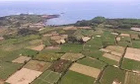 Nhiều dự án do Vingroup, T&T, FLC tại Quảng Ngãi bị dừng đề xuất nghiên cứu đầu tư