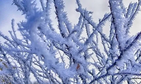 Giá khí đốt tăng gấp 4 lần chỉ trong vòng hơn 1 tháng, lên cao nhất 7 năm