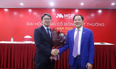 Nghi vấn MSB thiệt hại hàng nghìn tỷ đồng do tàu biển