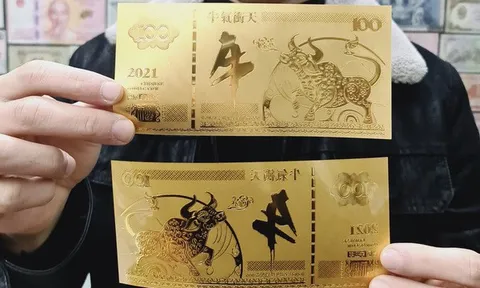 Săn tiền 'trâu vàng' tài lộc độc lạ chơi Tết Tân Sửu