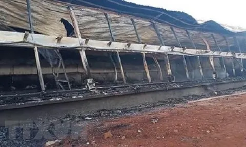 Cập nhật vụ cháy trại lợn tại Bình Phước: Công ty bảo hiểm vào cuộc