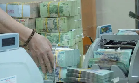 Lợi nhuận ngân hàng 2021: Bắt đầu "ngấm" chi phí dự phòng?