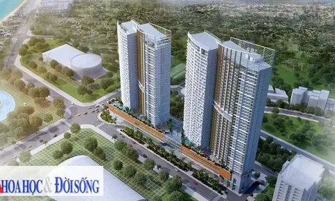 Bình Định: Doanh nghiệp 14 ngày tuổi được "ưu ái" dự án nghìn tỷ