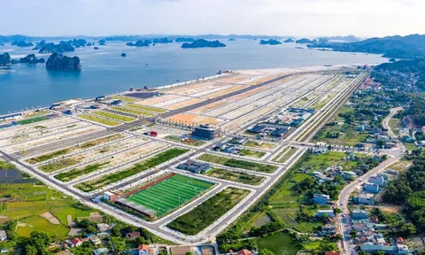 Lấn 16.000 m2 ở Vịnh Bái Tử Long, Công ty Phương Đông của ai, mạnh đến đâu?