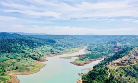 Nhà đầu tư bất động sản tìm cửa 'hớt váng cá mập'