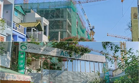 Khách hàng đỏ mắt vì doanh nghiệp bán ‘lúa’ non