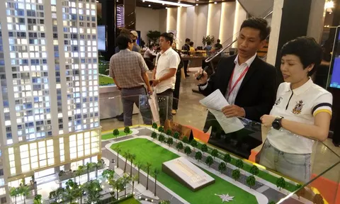 Bất thường: Nhiều doanh nghiệp địa ốc lạ, "non tuổi", kinh doanh không nổi bật vẫn hút vốn nghìn tỷ từ phát hành trái phiếu