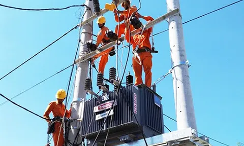 Đấu thầu tại Điện lực Hoàng Mai: Nhà thầu gian lận vẫn “vô tư” trúng thầu