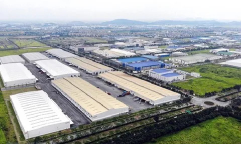 Bamboo Airways đầu tư gần 5.000 tỷ đồng vào hàng loạt dự án bất động sản