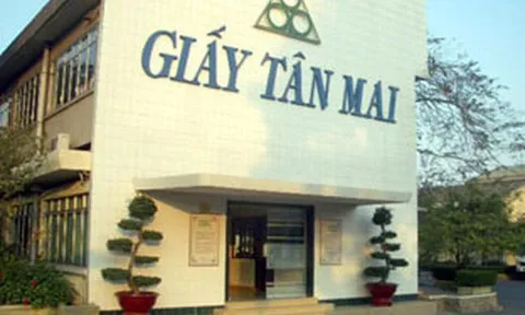 Tập đoàn Tân Mai của đại gia Lê Thành nợ thuế triền miên ra sao?