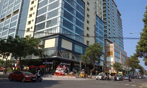 Dự án sử dụng Đất công không qua đấu giá tại Khánh Hòa: Khẩn trương rà soát, thu hồi tài sản thất thoát