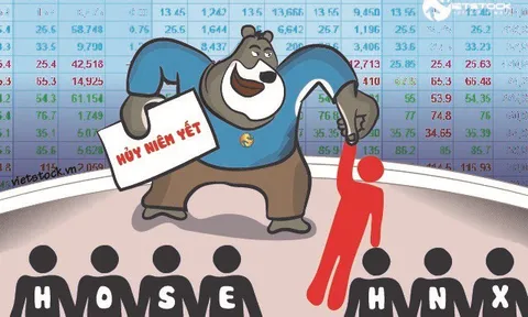 Án hủy niêm yết đang chờ gọi tên cổ phiếu nào?