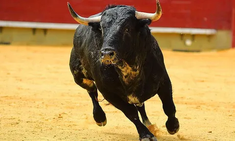 Động lực tăng điểm cho thị trường vẫn là nhóm VN30