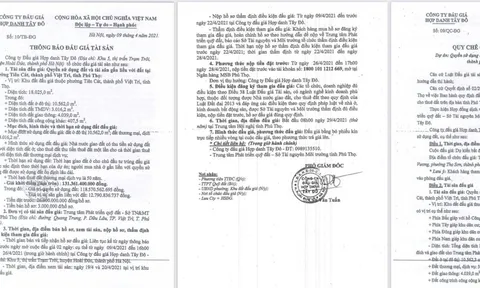 Đấu giá khu đất hơn 18.000m2 ở Phú Thọ: Nhiều vi phạm có thể dẫn đến thất thoát tài sản Nhà nước?
