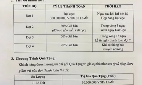 Bắc Ninh: Chủ đầu tư Dự án khu nhà ở thôn Mẫn Xá lách luật, bán lúa non ra thị trường?