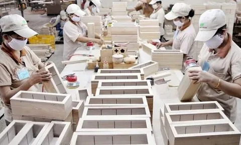 Gỗ Đức Thành (GDT) chia cổ tức sau khi ESOP, cổ đông “tố” bất hợp lý