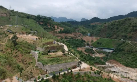 Công ty Anh Đặng có phải 'con trời' và chính quyền không xử nổi?