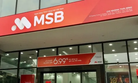 Quý 1/2021: Nợ phải trả tại MSB cao gấp 9,5 lần vốn chủ sở hữu, dự phòng rủi ro gấp gần 3 lần cùng kỳ