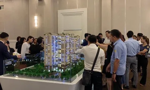 TP. Hồ Chí Minh: Thanh tra các dự án bất động sản lách luật, huy động vốn trái phép