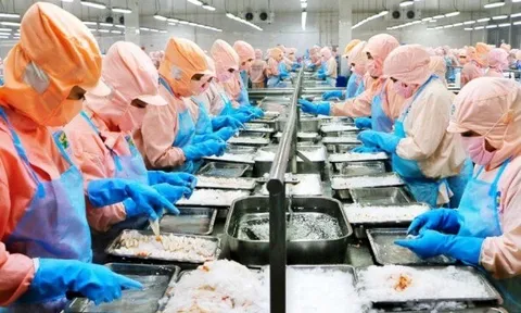 Vua tôm Minh Phú giảm phân nửa lợi nhuận, thực hiện 2% mục tiêu cả năm sau ba tháng