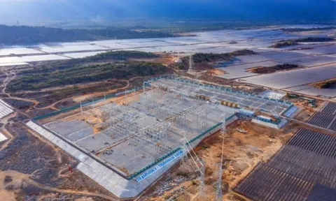 Vay nợ hàng chục nghìn tỷ trái phiếu, Tập đoàn Trung Nam chỉ sinh lời nhỏ giọt