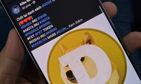 Dự án 'coin rác' đằng sau lời mời gọi của Ngọc Trinh, Kiều Minh Tuấn