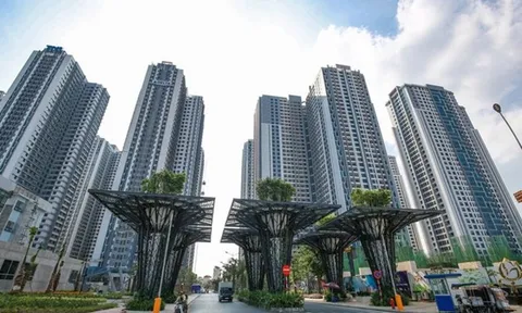 Hành trình TNR Holdings của bà Nguyệt Hường trở thành 'đại gia' bất động sản