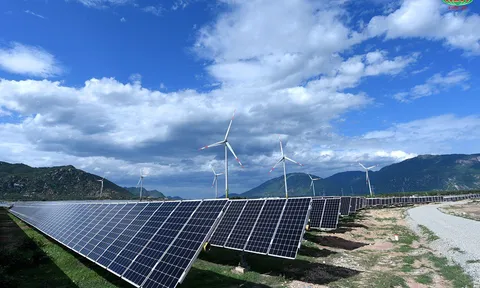 Thấy gì từ hàng loạt vụ chuyển nhượng dự án năng lượng của Trung Nam Group?