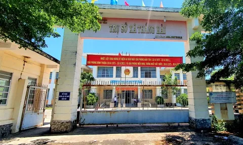 Bình Thuận: Rà soát pháp lý đối với phản ánh về các trường hợp tái lấn chiếm đất tại dự án Lạc Việt