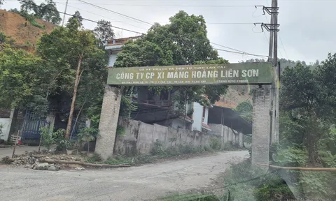 Bất thường trong đấu giá Công ty CP Xi măng Hoàng Liên Sơn