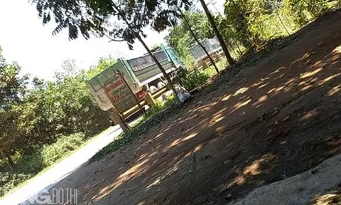 Trại gà giống Xuân Phú: Ô nhiễm môi trường, lãnh đạo xã nói gì?