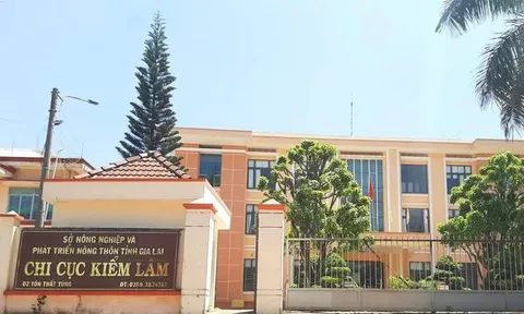 Gia Lai: Phát hiện hàng loạt sai phạm tại chi cục Kiểm lâm tỉnh