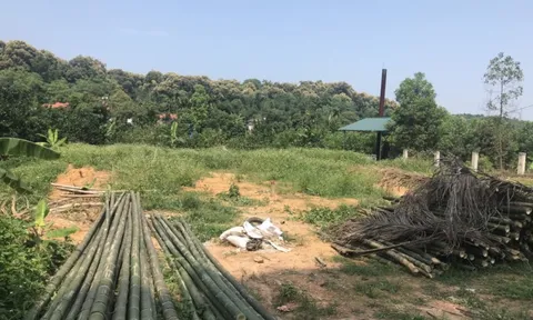 Phú Thọ: Công dân tố cáo Chủ tịch UBND huyện Đoan Hùng lợi dụng chức vụ, quyền hạn trong công vụ