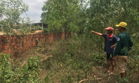 An Nhơn (Bình Định): Doanh nghiệp gây ô nhiễm môi trường, chính quyền đùn đẩy trách nhiệm?