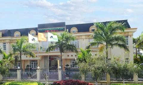 Sai phạm, vẫn trúng tiếp các gói thầu khủng