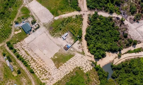 Quảng Bình: Dự án rộng gần 250 ha nuôi hơn… 20 con bò