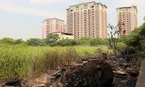 Hà Nội: Hàng loạt dự án ôm “đất vàng” rồi bỏ hoang hàng thập kỷ