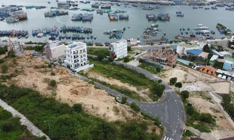 Điểm tin dự án sai phạm ngày 25/5/2021: Block B Chung cư Monarchy chưa nghiệm thu