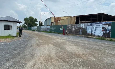 Xây dựng không phép, Công ty Thương Mại và Du Lịch Bình Dương bị phạt