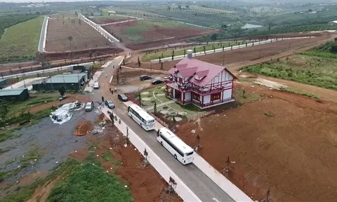 Đồi 36ha ở Lâm Đồng bị xẻ thành 1.000 nền đất để bán: Chính quyền không hay biết