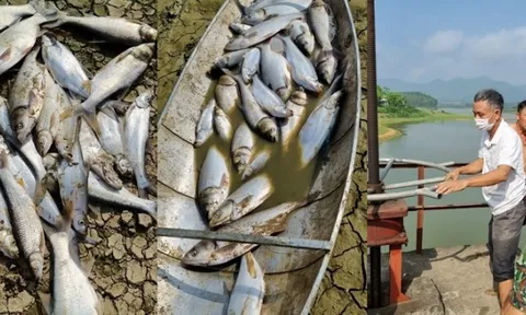 Tam Nông (Phú Thọ): Người dân khẩn thiết đề nghị UBND tỉnh giải quyết thấu đáo vụ việc Hồ Đồng Hạ