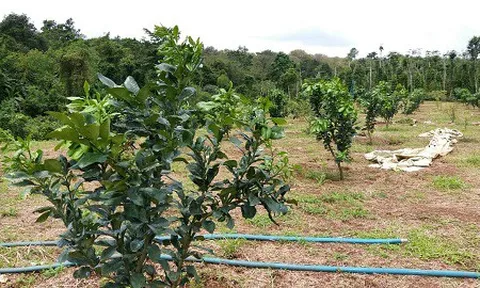 Công ty Vân Anh trúng gói thầu 'bất thường' tại Quảng Bình