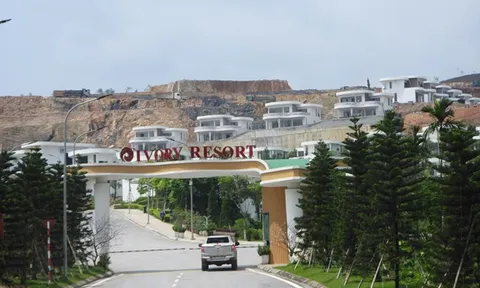 ‘Cạo trọc’ đồi xanh để xây resort