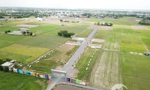 Loạt dự án "bán lúa non" từng bị "tuýt còi" ở Long An