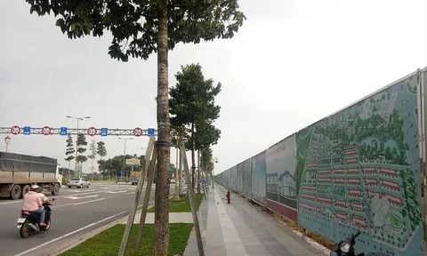 Bình Dương: Siết quản lý dự án, xử phạt nhiều chủ đầu tư sai phạm