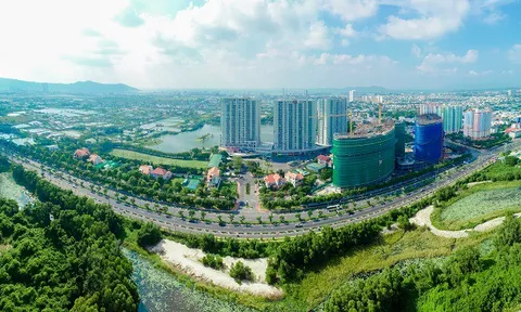 Phó Thủ tướng chỉ đạo rà soát việc triển khai dự án gần 100 ha của DIC Corp